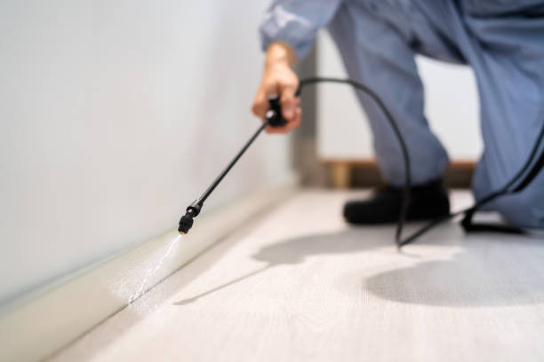 Licensed Termite Control service in Mansfield, OH - Nex Pest Control
