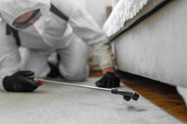Professional Termite Control technician working in Mansfield, OH