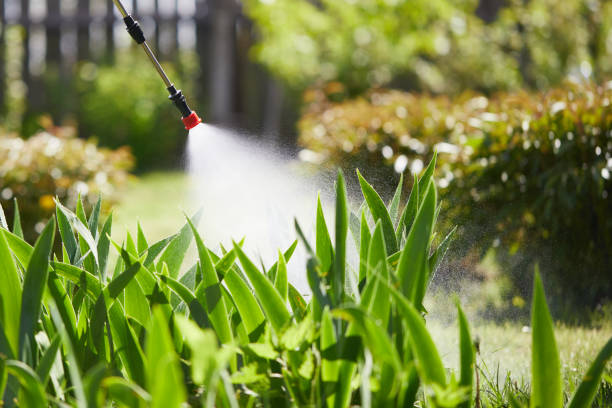 24/7 Emergency Termite Control experts in Mansfield, OH