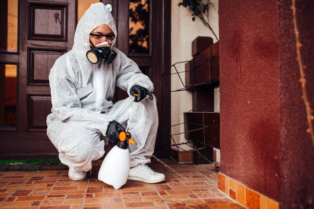 Reliable Termite Control contractor in Mansfield, OH by Nex Pest Control