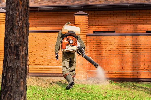 Top rated local Termite Control specialists in Mansfield, OH
